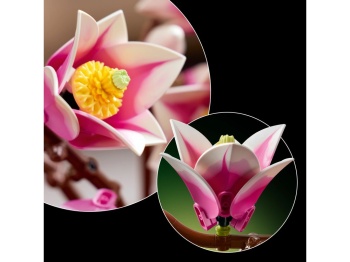 11510 Gałązki magnolii