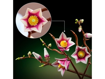 11510 Gałązki magnolii