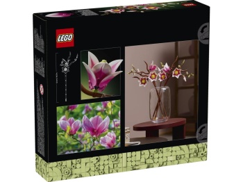11510 Gałązki magnolii