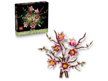 11510 Gałązki magnolii