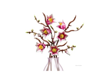 11510 Gałązki magnolii