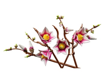 11510 Gałązki magnolii