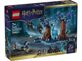 LEGO 76475 Harry Potter Zakazany Las: Expecto Patronum