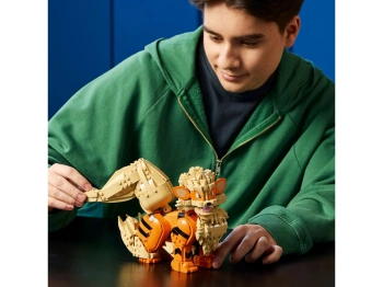 LEGO 72160 Pokémon Arcanine