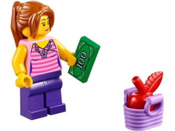 LEGO Juniors 10684 Walizeczka - supermarket