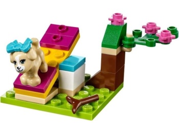 LEGO Friends 41088 Trening szczeniaka