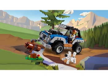 LEGO Creator 31075  Zabawy na dworze
